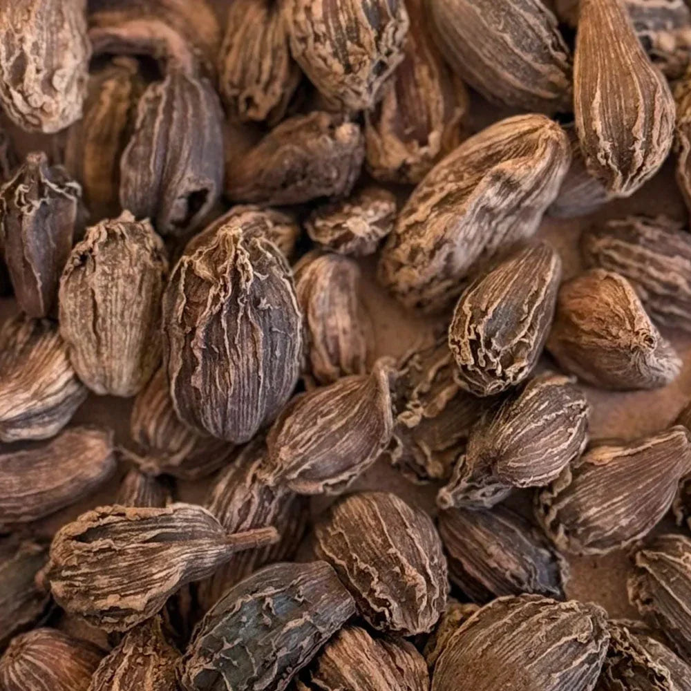 Cardamom Black / Kali Elaichi