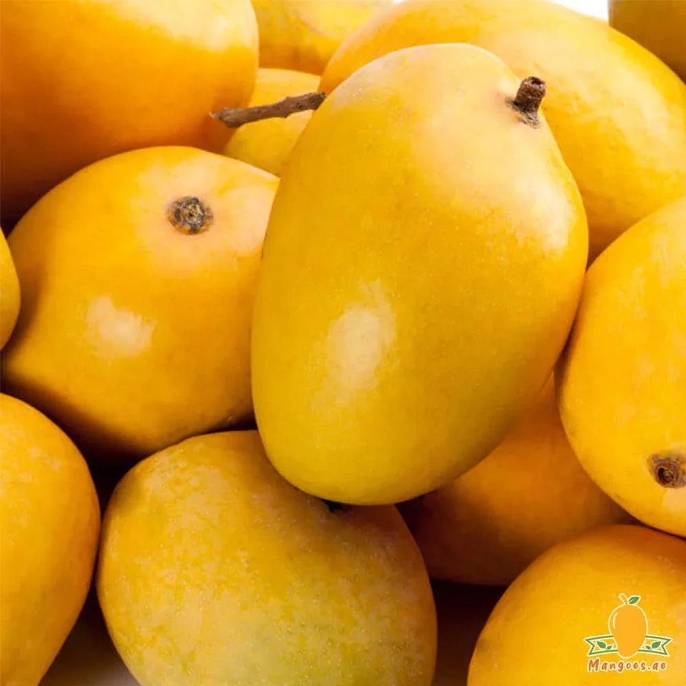 Alphonso Mangoes (India)