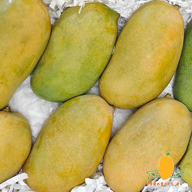 Mallika Mangoes (India)