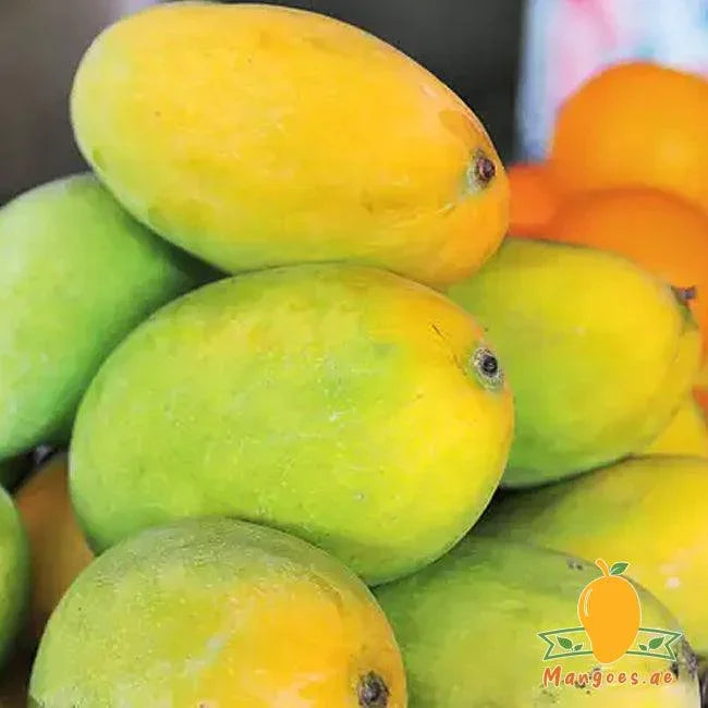 Priyoor Mangoes (India)