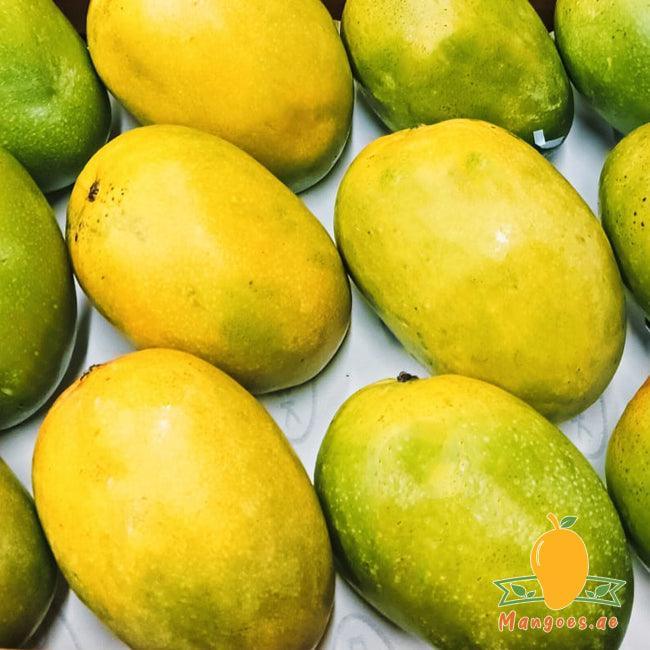 Ratna Mangoes (India)