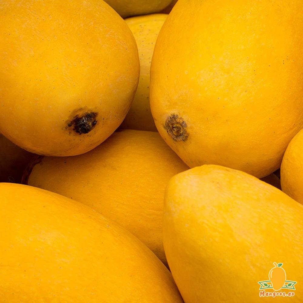 Shop Anwar Ratol Mangoes 1 Box (Pakistan) in UAE, Dubai, Sharjah, Ajman