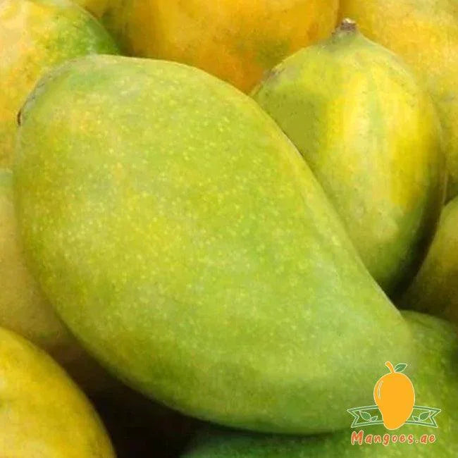 Langra Mangoes (Pakistan)