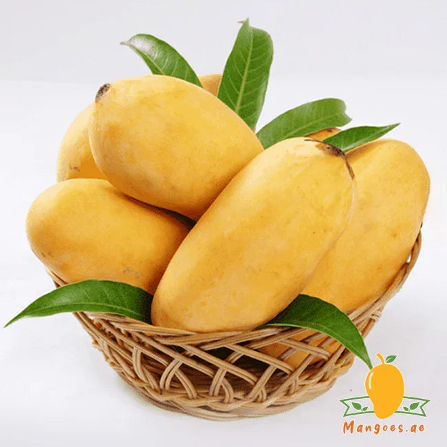Premium Sindhri Mangoes 3kg By Air (Pakistan)