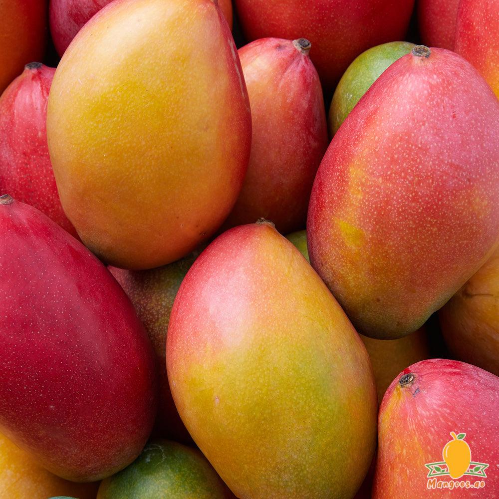 Shop Palmer Mangoes (Brazil) in UAE, Dubai, Sharjah, Ajman, Abu Dhabi