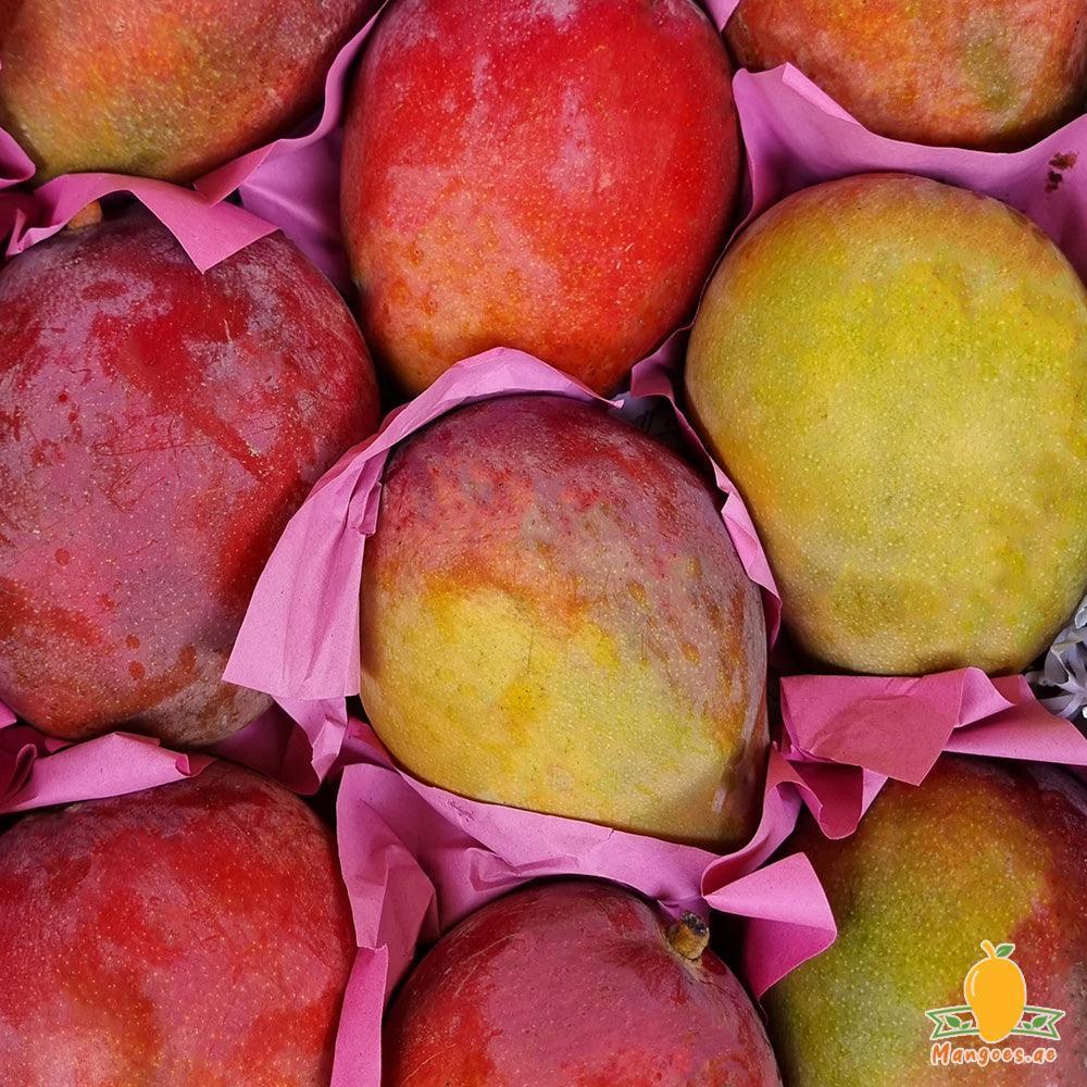 Premium Qalbaltor Mangoes (Yemen)