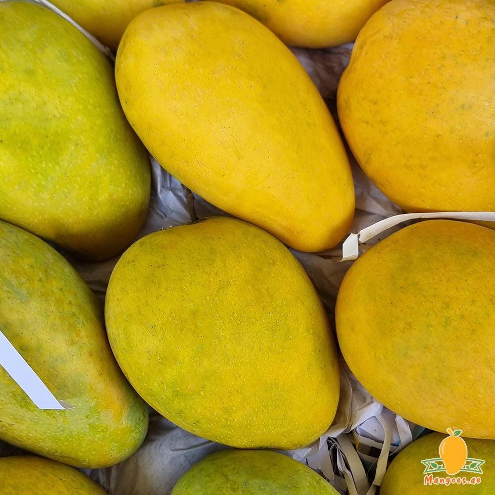 Badami Mangoes (India)