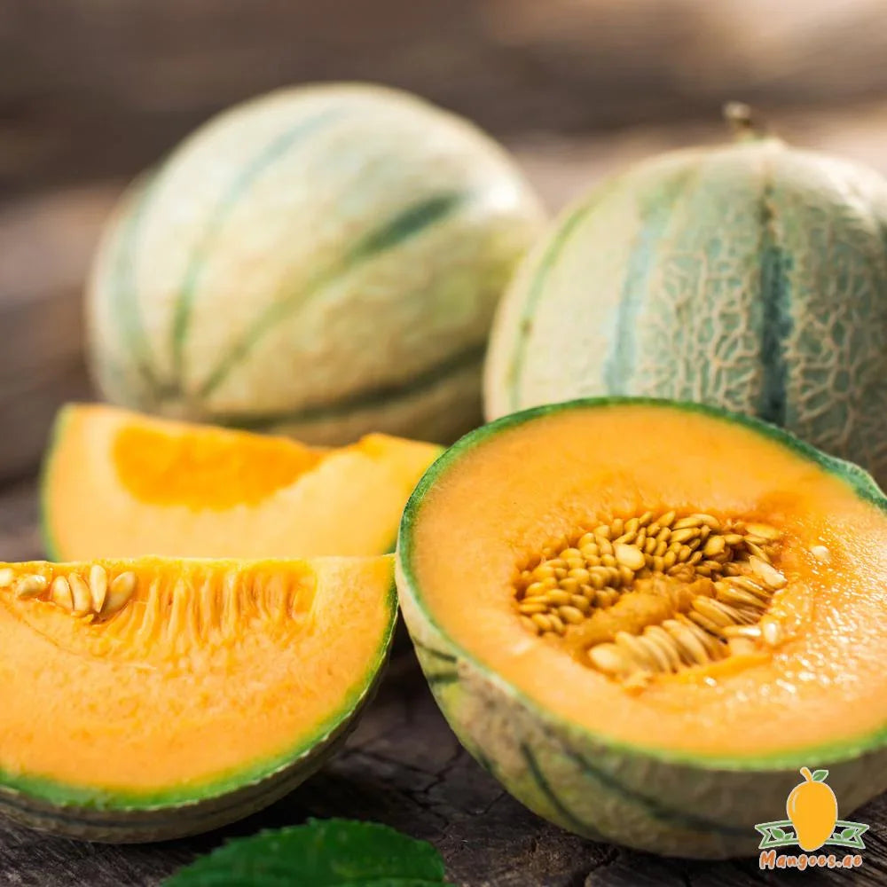 Rock Melon (Brazil)