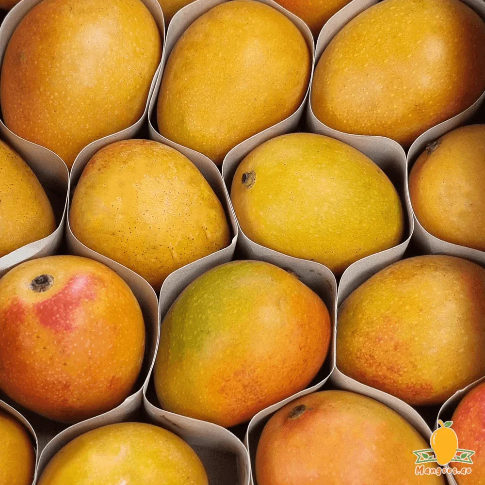 Baby Mangoes (Colombia)