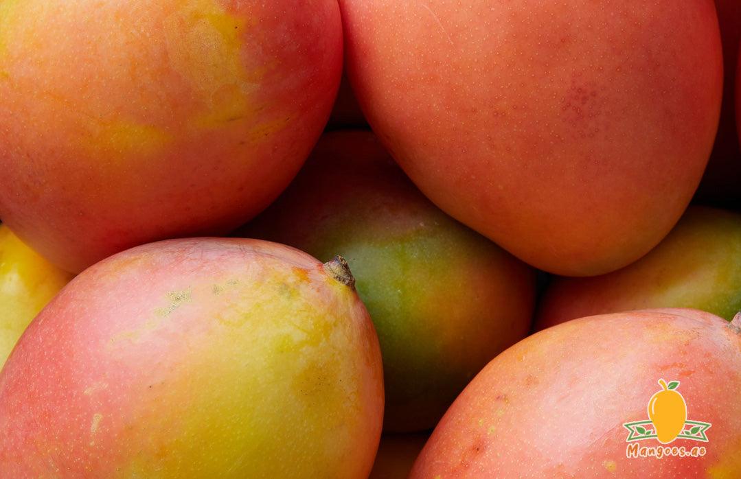 Shop Egyptian Keitt Mangoes in UAE (Dubai, Sharjah, Abu Dhabi, Ajman) - Mangoes.ae
