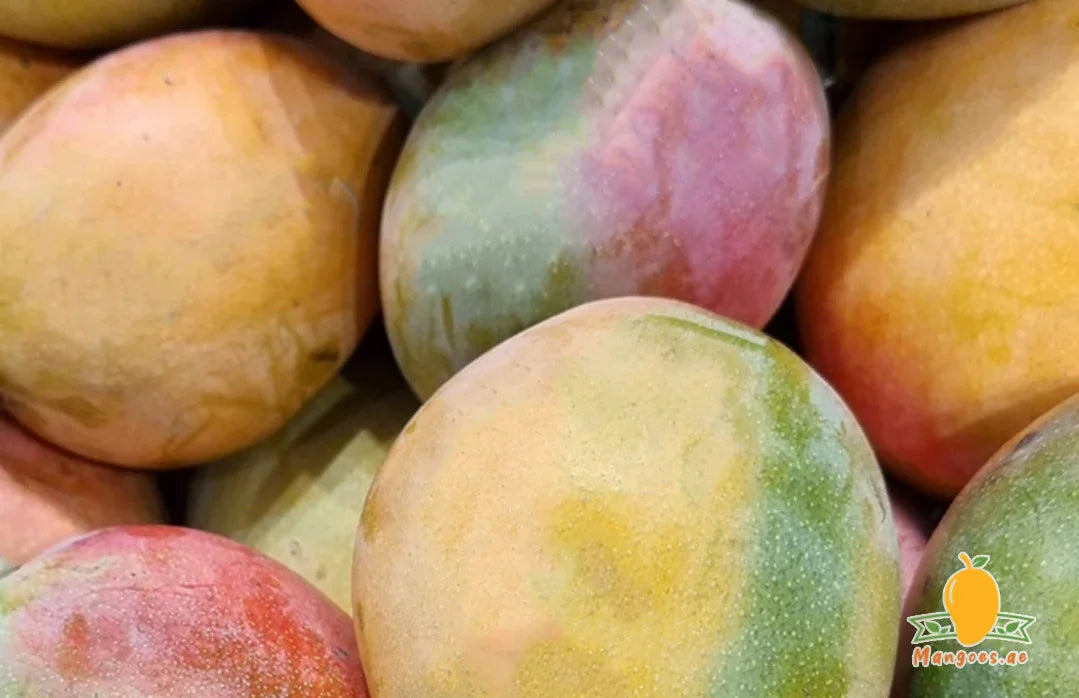 Premium Egyptian Mangoes Online Dubai | Fass & Yasmina UAE