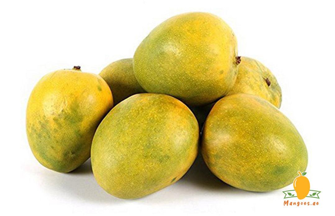 Shop Indian Rajapuri Mangoes in UAE, Dubai, Sharjah, Ajman & Abu Dhabi
