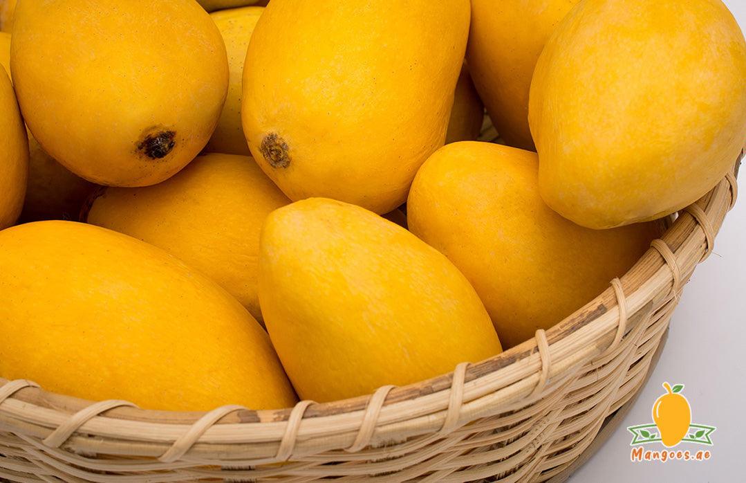 Shop Pakistani Anwar Ratol Mangoes in UAE (Dubai, Sharjah, Abu Dhabi, Ajman) - Mangoes.ae