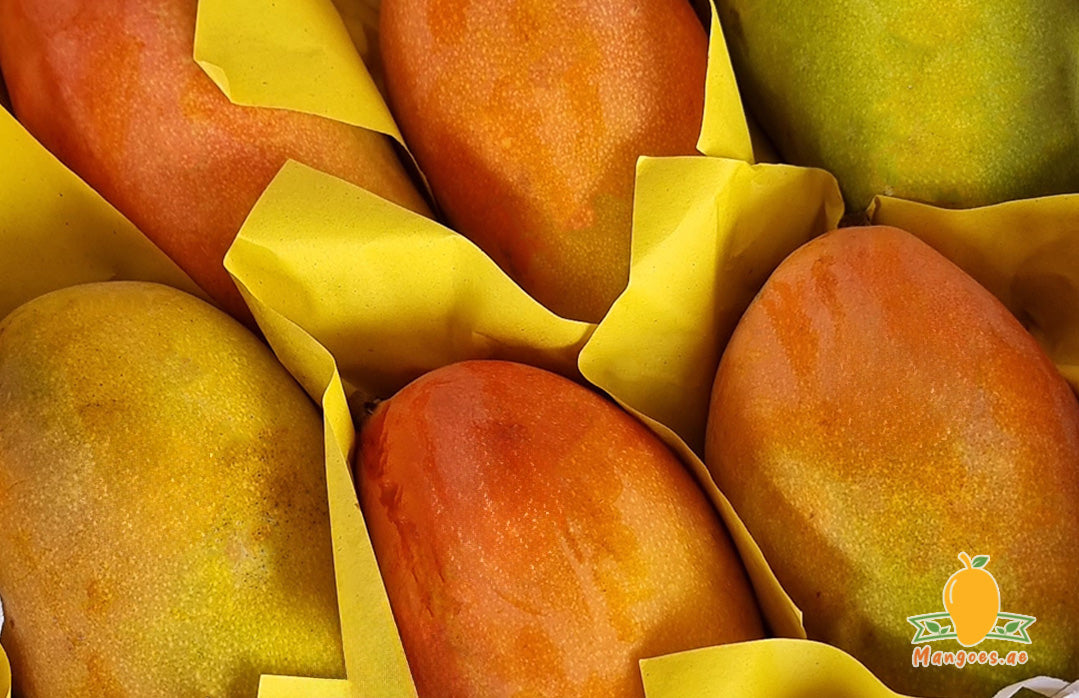 Premium Yemini Mangoes Online Dubai | Authentic Middle Eastern Fruit