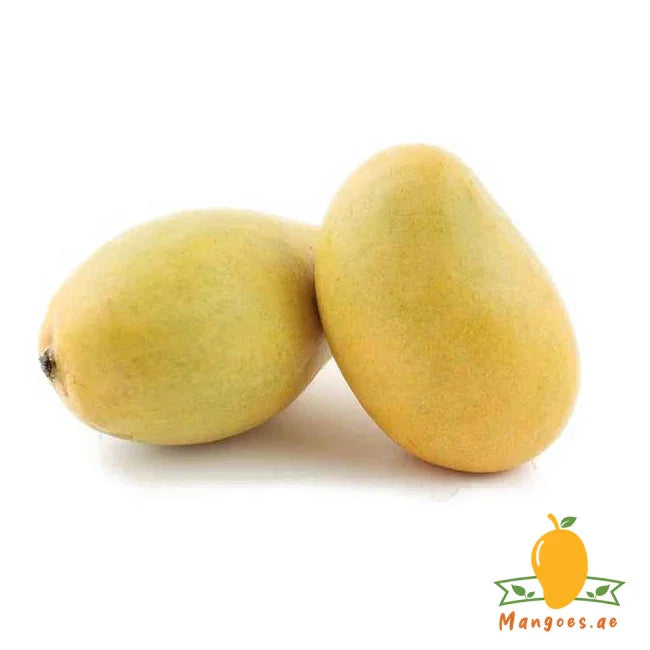 Fass Mangoes (Egypt)
