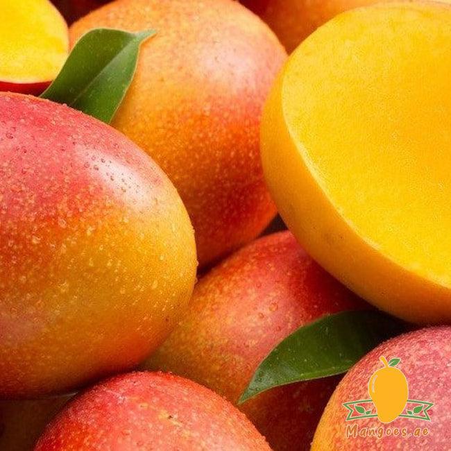 Kent Mangoes (Egypt)