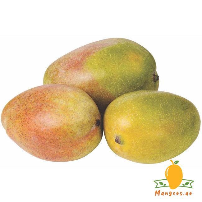 Mabrouka Mangoes (Egypt)