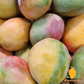 Yasmina Mangoes (Egypt)