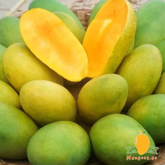 Royal Dasheri Mangoes (India)
