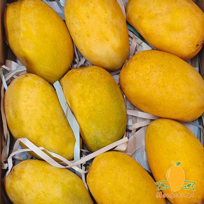 Kesar Mangoes (India)