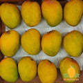 Organic Ratnagiri Alphonso Mangoes (India)