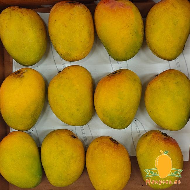 Organic Ratnagiri Alphonso Mangoes (India)