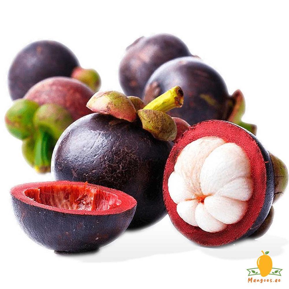 Mangosteen - Thailand