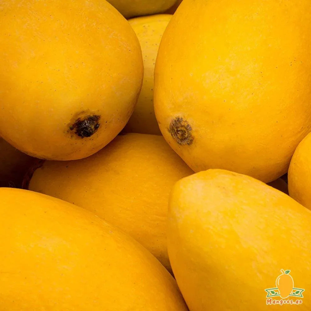 Shop Anwar Ratol Mangoes 1 Box (Pakistan) in UAE, Dubai, Sharjah, Ajman ...