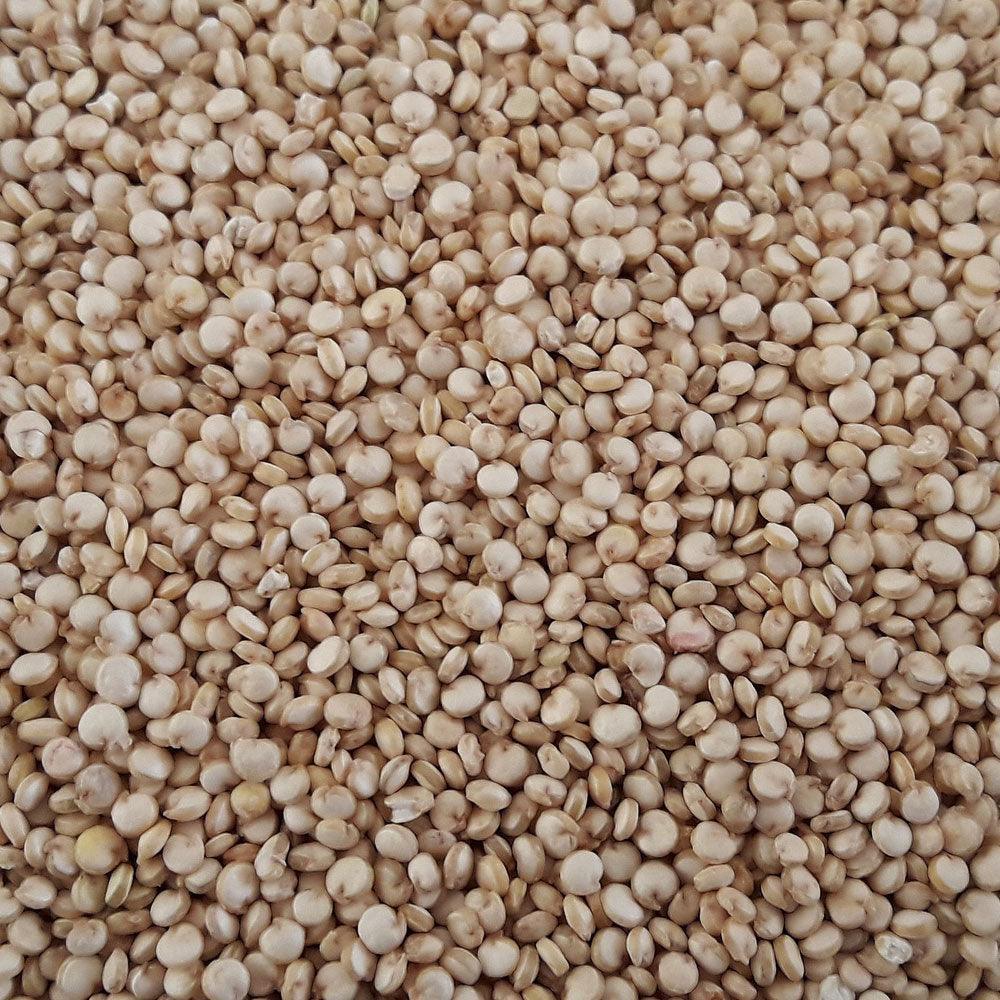 Quinoa Seeds