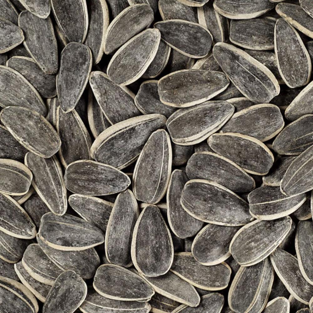 Shop Sunflower Seeds Roasted in UAE, Dubai, Sharjah, Ajman, Abu Dhabi