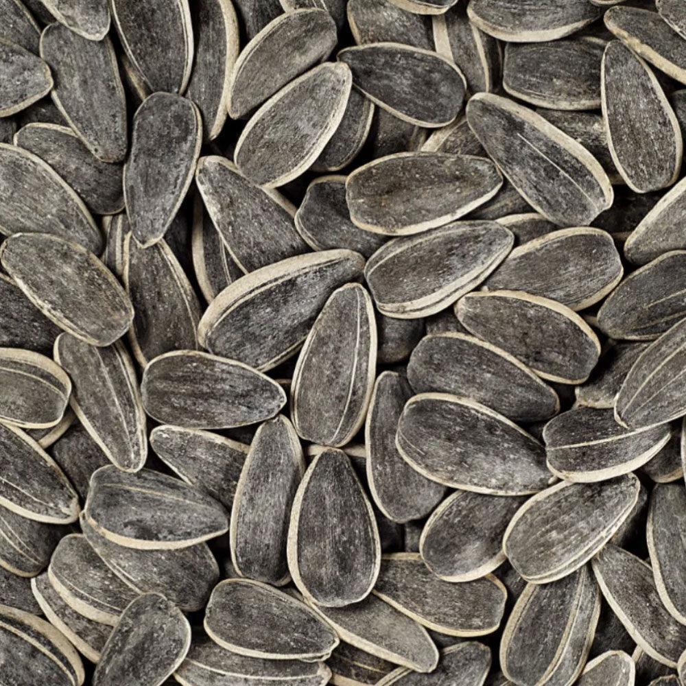 Roasted Sunflower Seeds