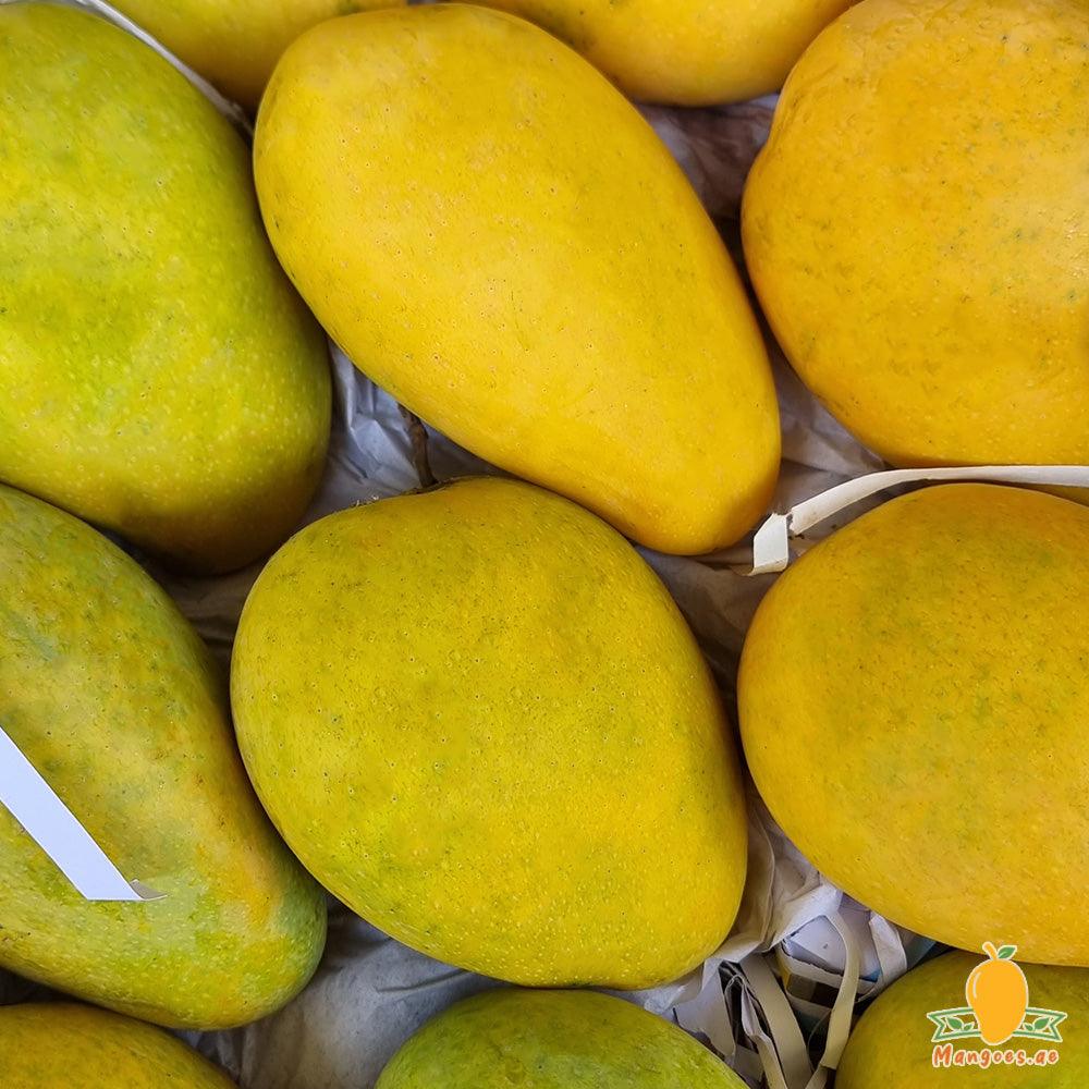 Shop Badami Mangoes (India) in UAE, Dubai, Sharjah, Ajman, Abu Dhabi