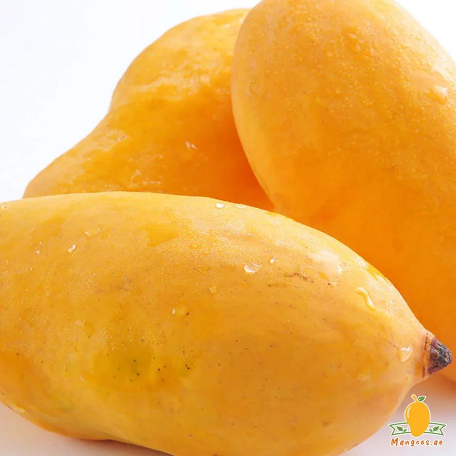 Buy Pakistani Mangoes in UAE | Sindhri, Chaunsa, Anwar Ratol