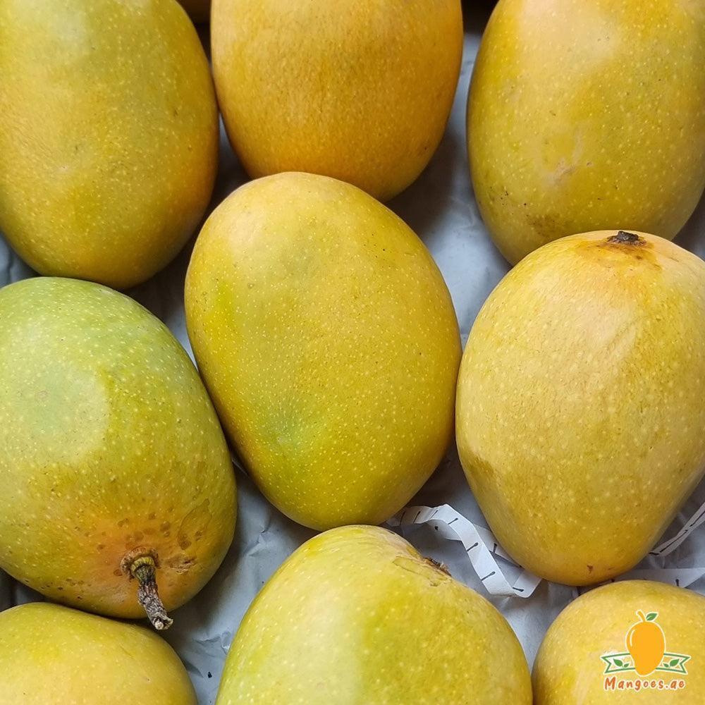 Premium Quality Alphonso Mangoes (India)
