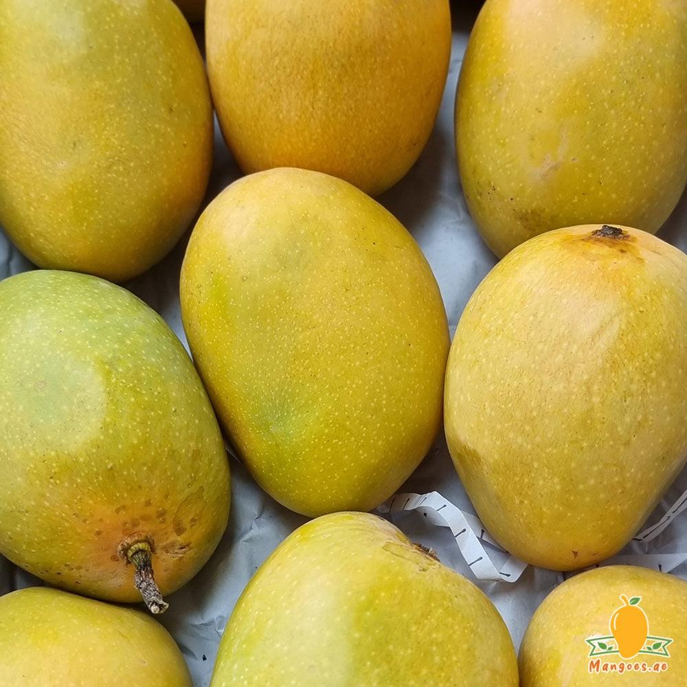 Shop Premium Quality Alphonso Mangoes 1 Box (India) in UAE, Dubai ...